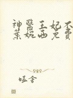 神医王妃不好惹叶婉西免费阅读