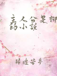 主人公是柳无邪的小说