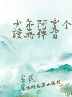 少年阿宾全文阅读无弹窗