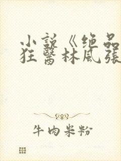 小说《绝品风流狂医林风张慧》