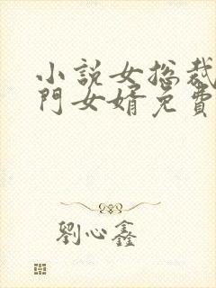 小说女总裁的上门女婿免费阅读全文