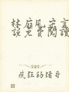 林庭风宋言汐小说免费阅读