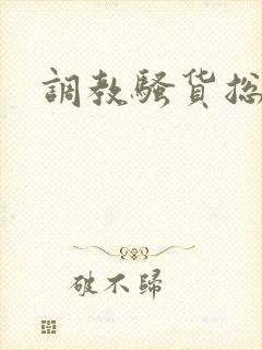 调教骚货总裁