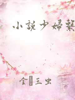 小说少妇系列
