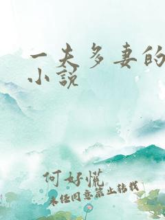 一夫多妻的都市小说