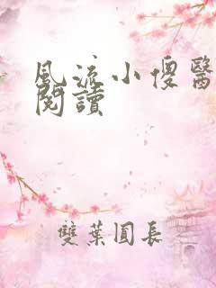 风流小傻医完整阅读