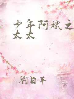 少年阿斌之房东太太