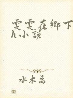 雯雯在乡下被继h小说