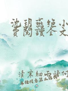 沈玥燕绝小说免费阅读全文最新章节