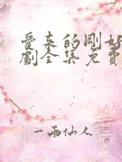 爱来的刚好电视剧全集免费播放