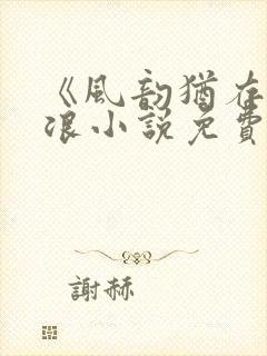 《风韵犹存》孟浪小说免费阅读