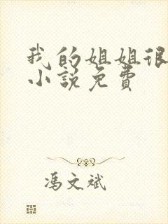 我的姐姐很弟控小说免费