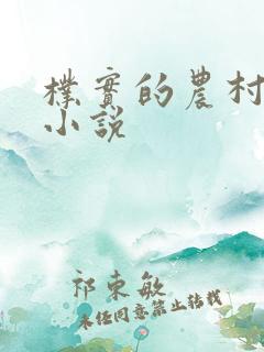 朴实的农村妈妈小说