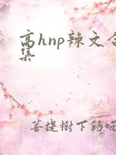 高hnp辣文合集