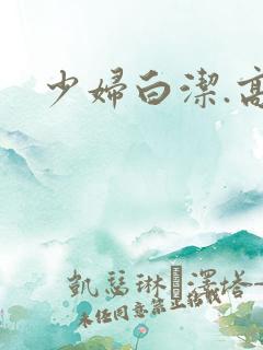 少妇白洁.高义