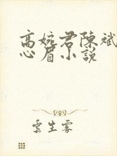 高婉君陈斌和赵心眉小说