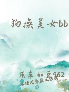 狗操美女bb