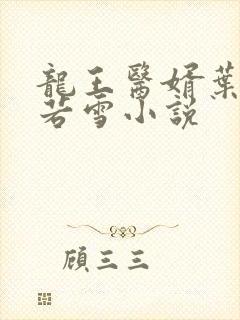 龙王医婿叶凡唐若雪小说