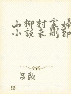 山柳村寡妇情史小说未删节版免费阅