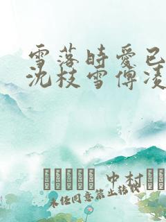 雪落时爱已落幕沈枝雪傅凌砚阅读全文