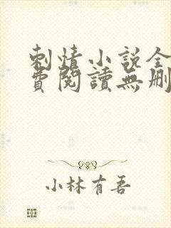刺情小说全文免费阅读无删减