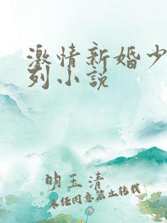 激情新婚少妇系列小说