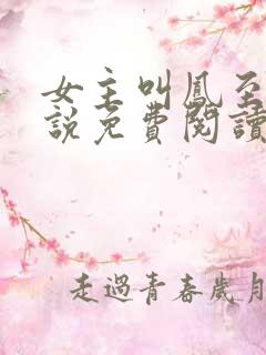 女主叫凤至的小说免费阅读