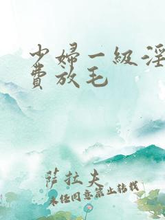 少妇一级淫片免费放毛