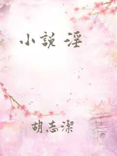 小说 淫
