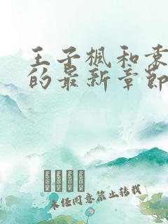 王子枫和袁雯洁的最新章节