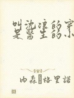 叫沈浪的穿越前是医生的小说