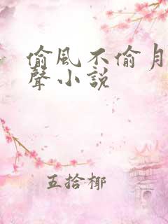 偷风不偷月 有声小说