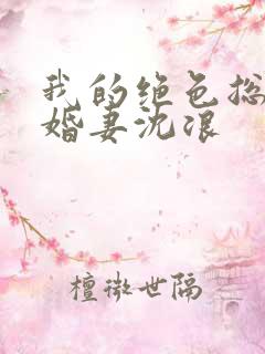 我的绝色总裁未婚妻沈浪