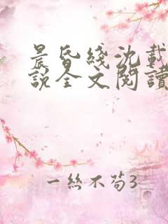 晨昏线沈载伦小说全文阅读无弹窗