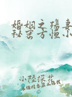 婚姻之殇妻子的秘密方恒小说在线阅读