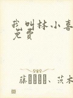 我叫林小喜全文免费