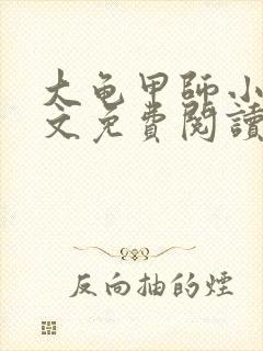 大龟甲师小说全文免费阅读