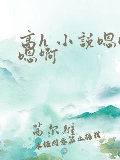 高h 小说嗯嗯嗯啊