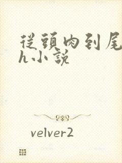 从头肉到尾的高h小说