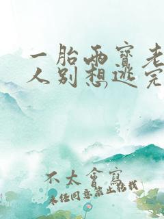 一胎两宝老婆大人别想逃完整版免费阅读