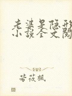 老婆是隐形大佬小说全文阅读免费