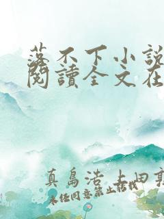 落不下小说免费阅读全文在线阅读