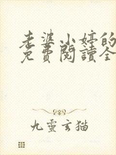 老婆小婷的小说免费阅读全文