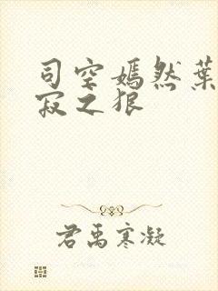 司空嫣然叶凡孤寂之狼
