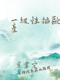 一级性插欧美国产