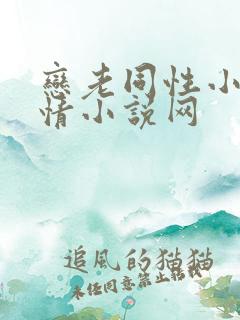 恋老同性小说言情小说网