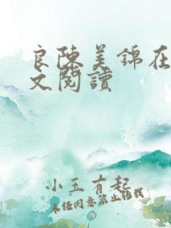 良陈美锦在线全文阅读