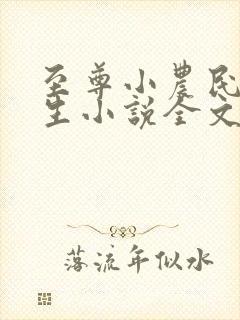 至尊小农民王木生小说全文免费阅读