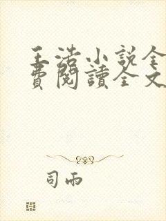 王浩小说全文免费阅读全文