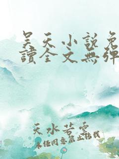 吴天小说免费阅读全文无弹窗